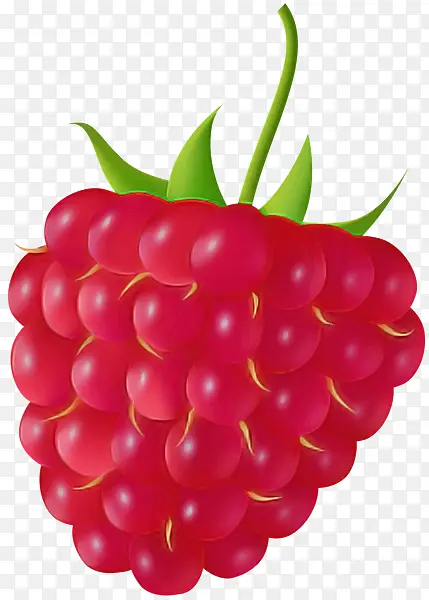 ��ȻʳƷ ���� ˮ��-������