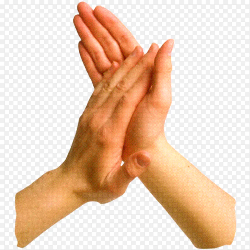 ��ָ �� ����-������