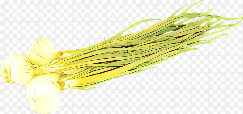 ��ɫ �߲� ֲ��-������