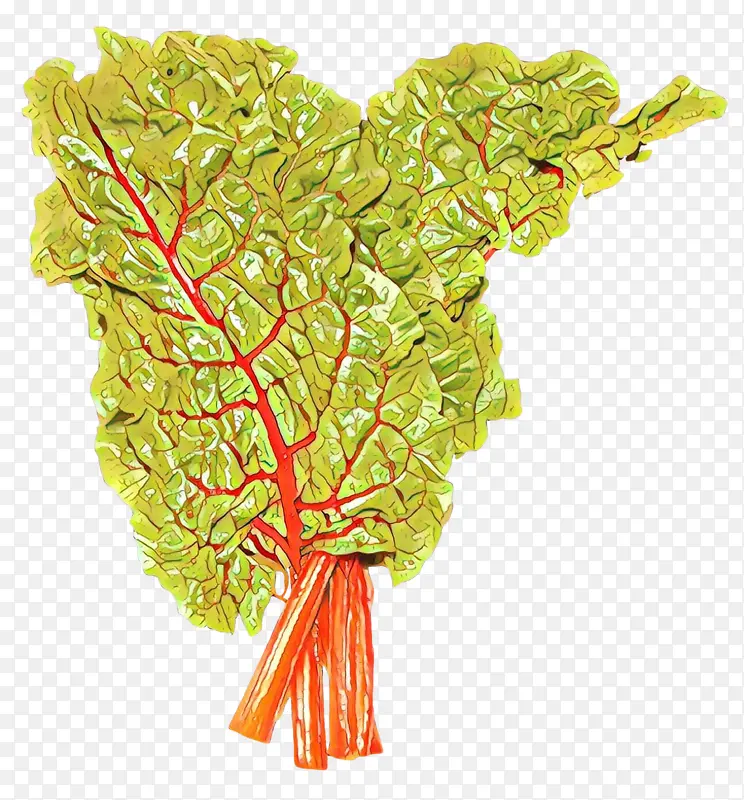 �ɹ���ƷҶ�߲� ��� �߲�-������