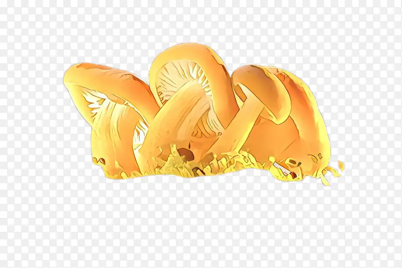 �ֽ� ���� ��-������