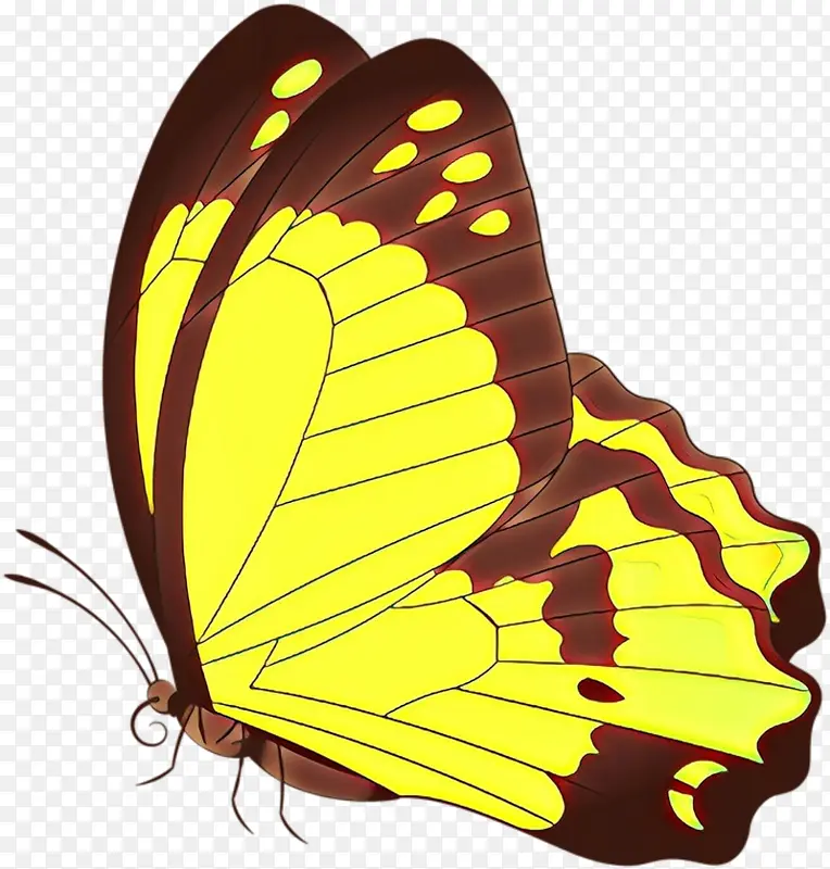 �ɶ�ͺ��� ���� ����-������