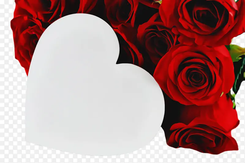 ��ɫ �ֱ� ����-������