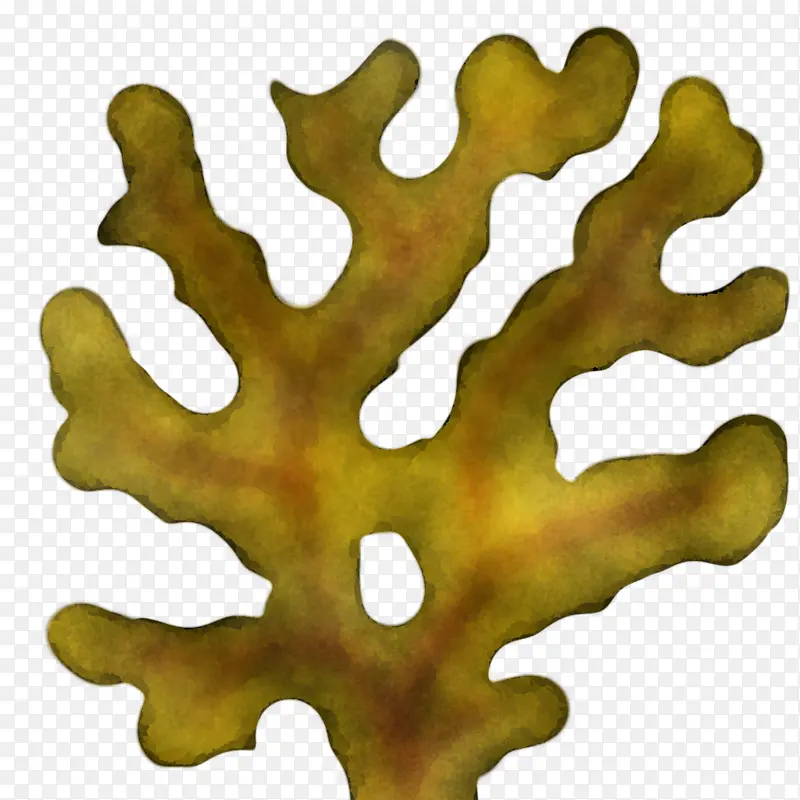 Ҷ�� ��ɫ ��-������