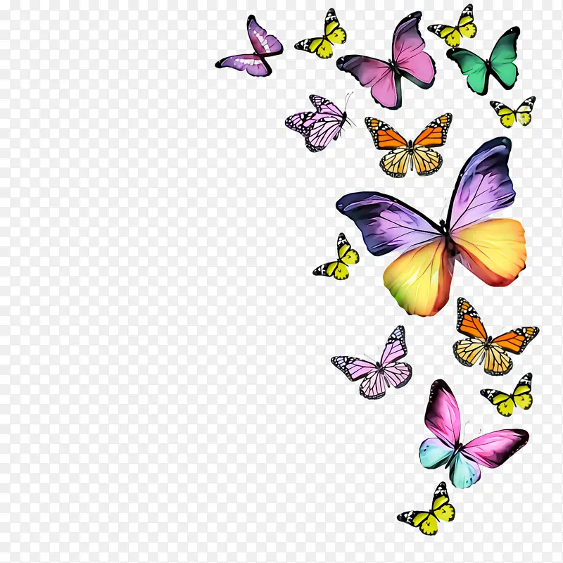 ���� �ɶ�ͺ��� ����-������