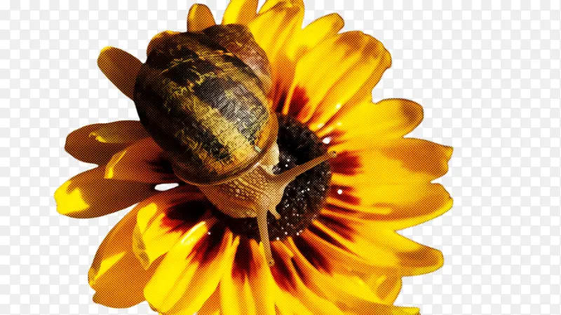 �۷� ���� ��ɫ-������