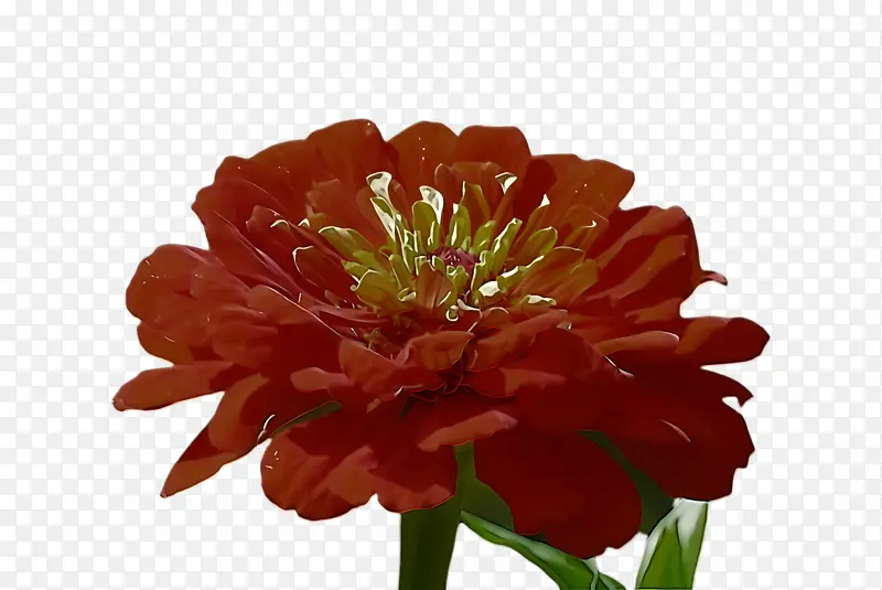 �ɹ���Ʒ�� ���ղ� ����-������