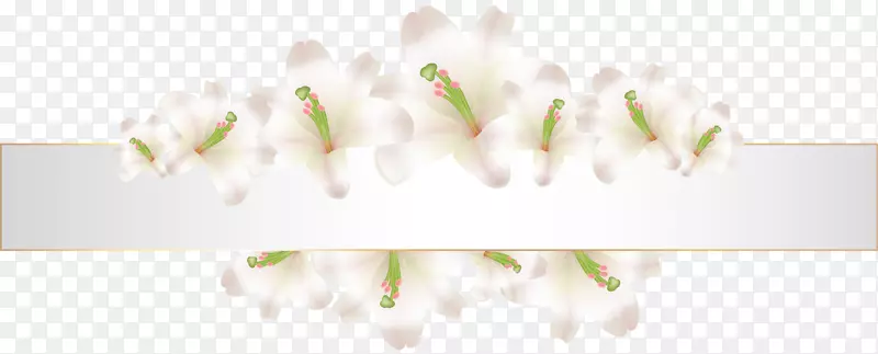 ��ָͷ�����ֽ-���ܺ��-������