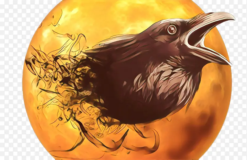 ��ɫ �� ��ѻ-������