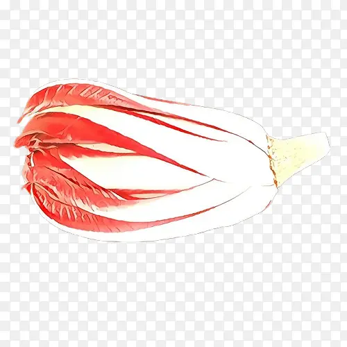 ��ɫ ʳ�� �߲�-������