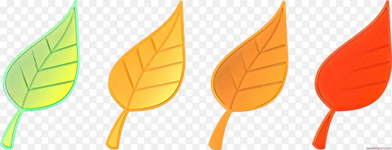 Ҷ�� ��ɫ ��ɫ-������