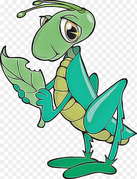 ��ͨ ��ɫ ����-������