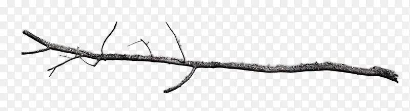 ��֦ ϸ֦ ��-������