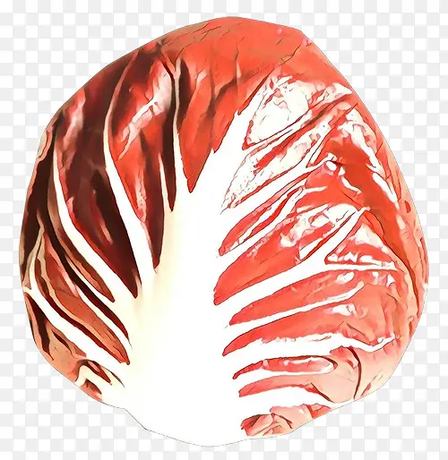 ��ɫ ��ɫ ������-������