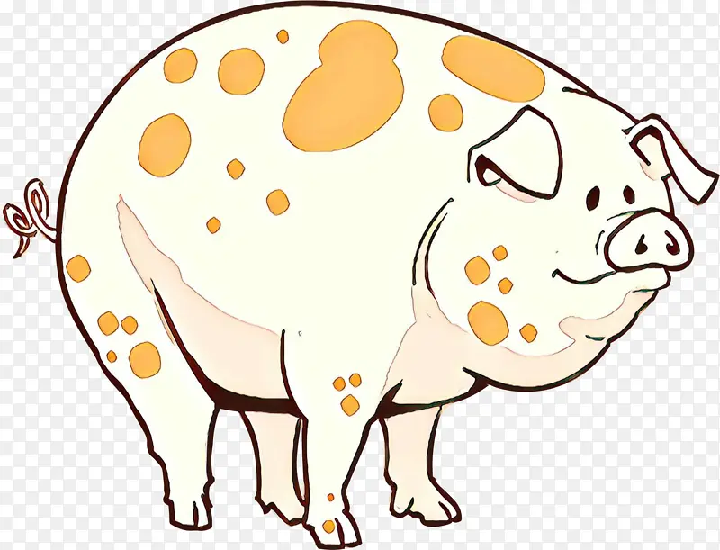 ���� ��ͨ ����-������