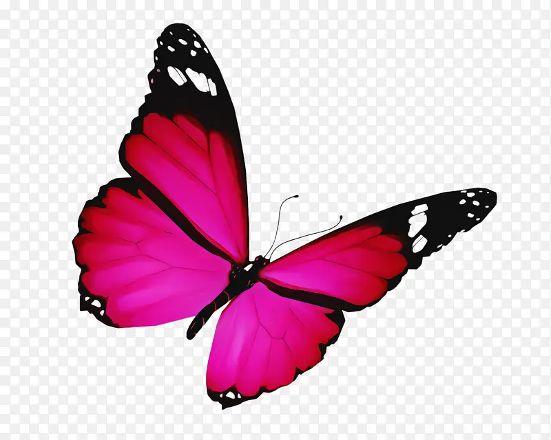 �ɶ�ͺ��� ���� ����-������