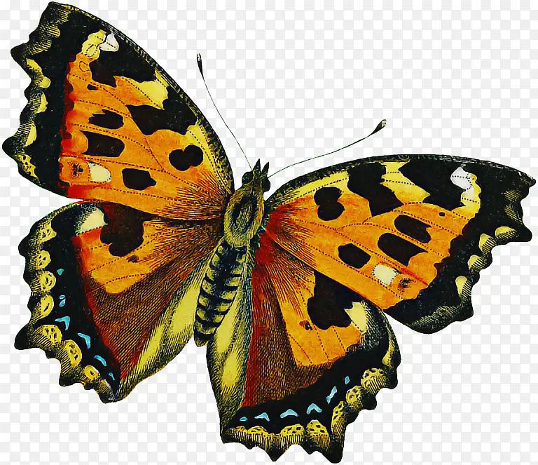 �ɶ�ͺ��� ���� ���������-������