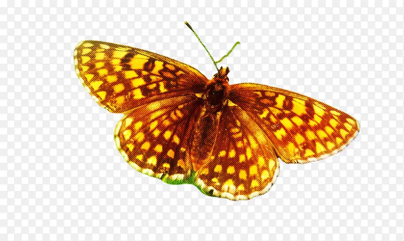 �ɶ�ͺ��� ���� ����-������