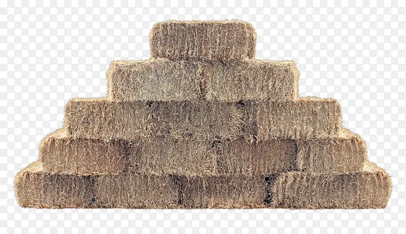 ǽ ש ��-������