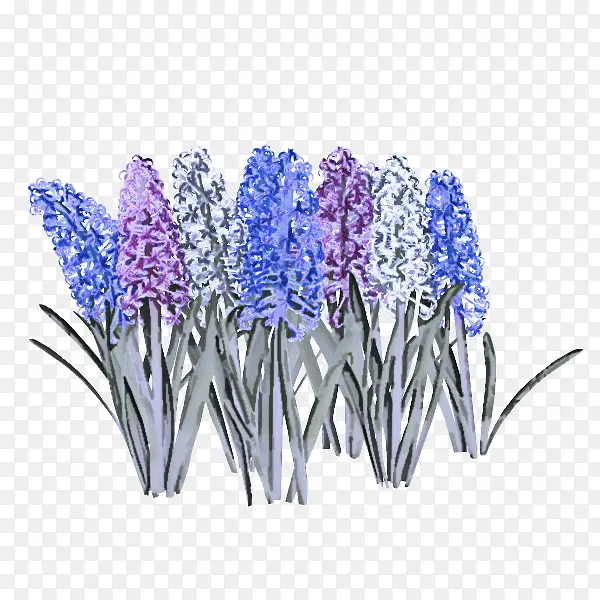 �� ޹�²� ֲ��-������