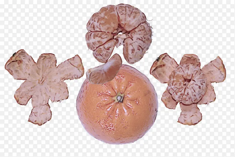 ֲ�� ˮ��-������