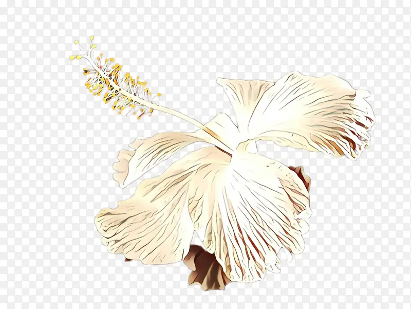 ��ɫ ��ë ֲ��-������