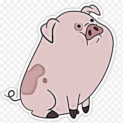 ��ͨ ��ɫ �ڱ�-������