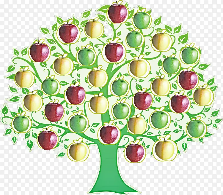 ֲ�� ˮ�� ʳ��-������