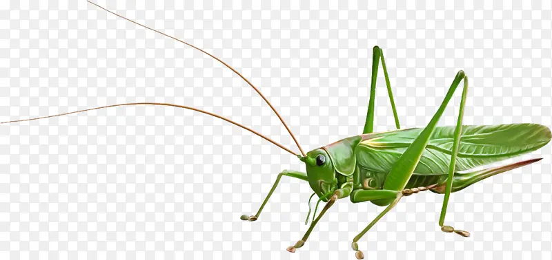 ���� ���� ��״����-������