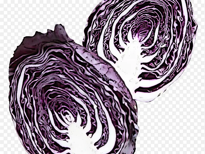 ���Ĳ� ��ɫ �߲�-������