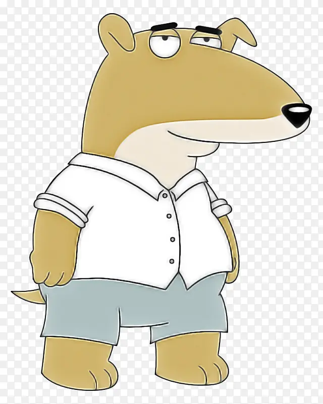 ��ͨ ����-������