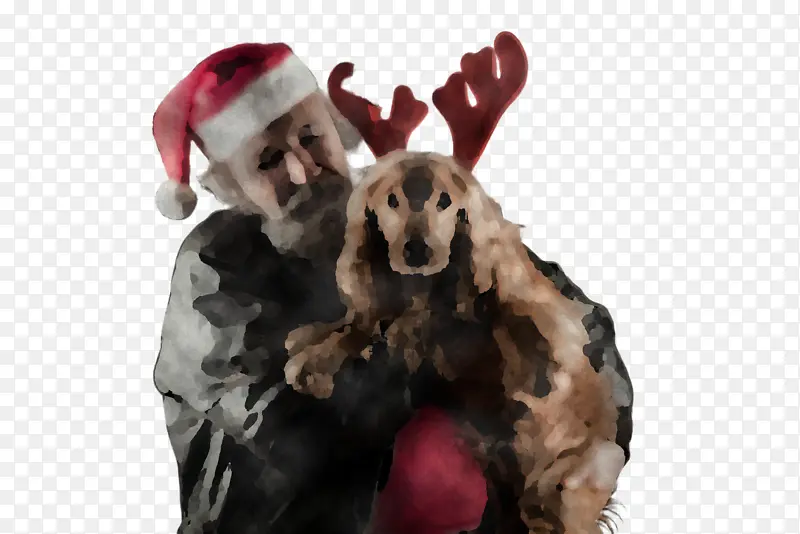 �� ��֦ ��-������