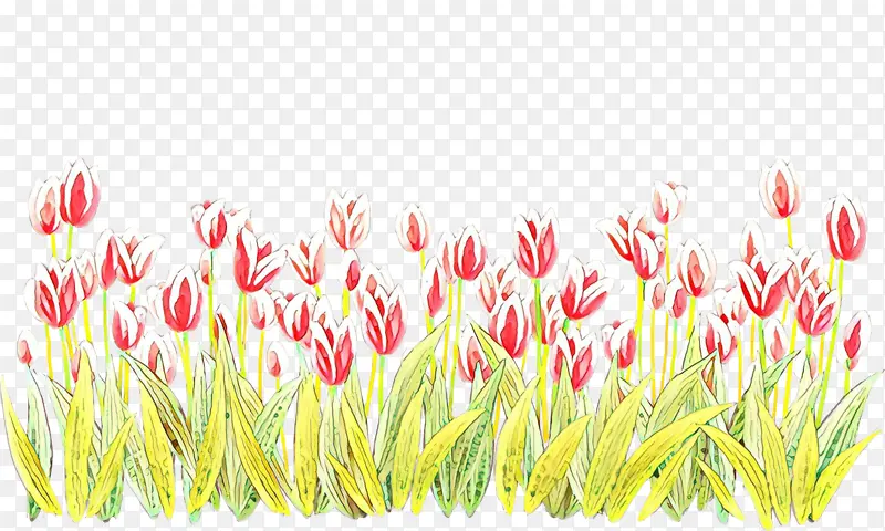 ��ɫ ������ ֲ��-������