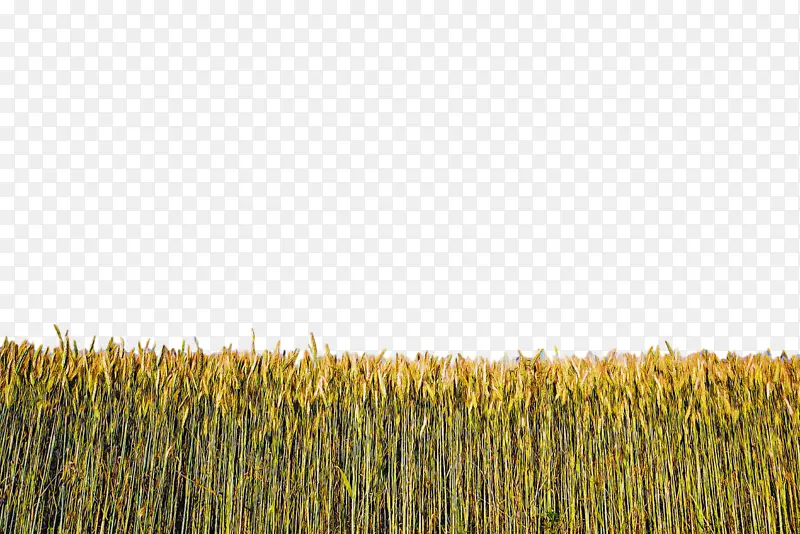 ũ�� �� ֲ��-������