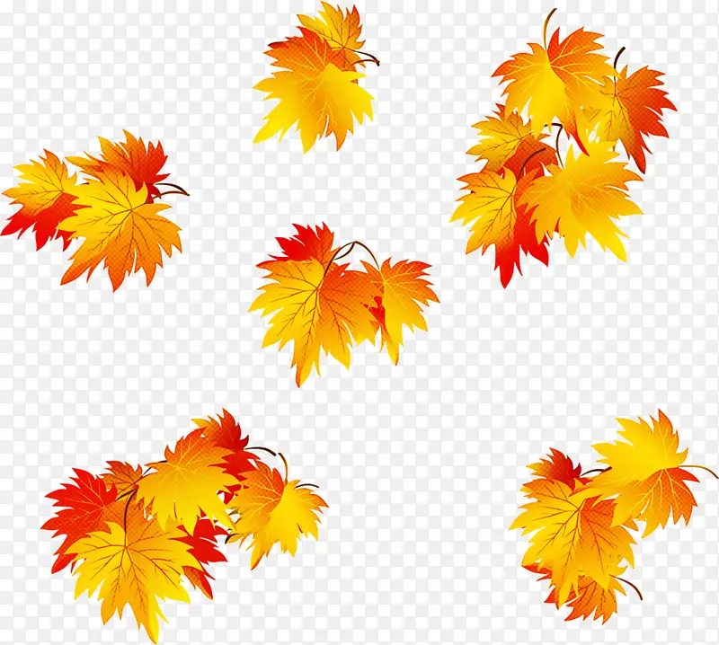 ��ɫ ��ɫ Ҷ��-������