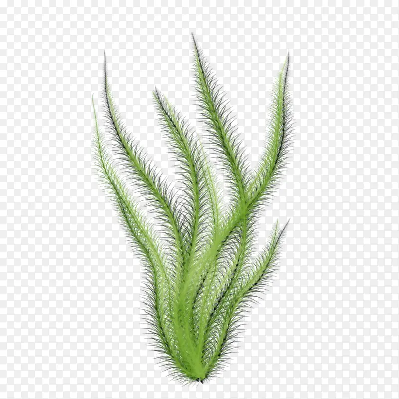 ˮ�ʻ� ���� ʪī-������