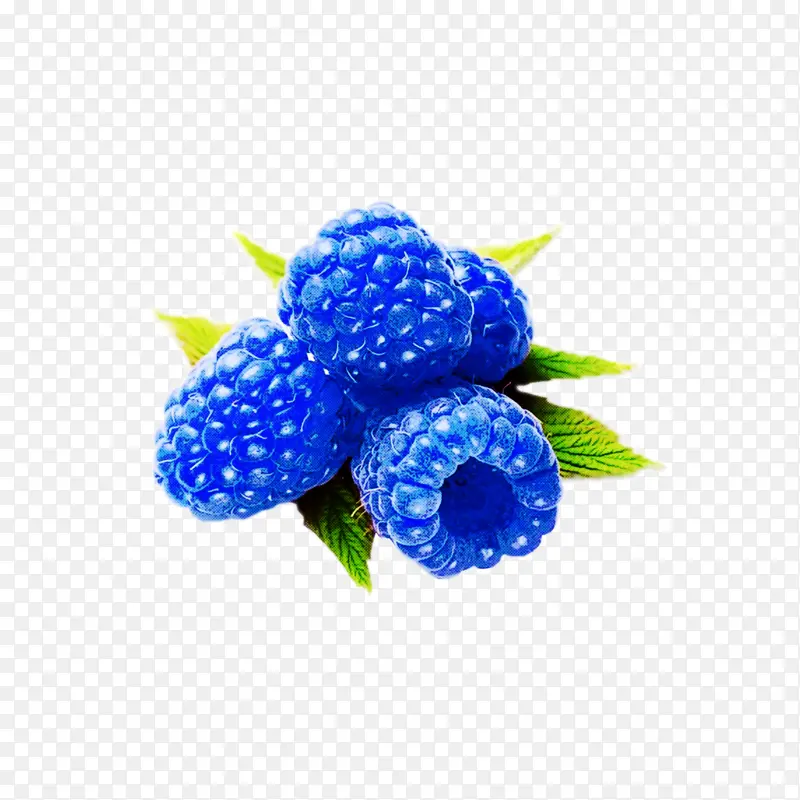 ��ɫ ���� ����ɫ-������