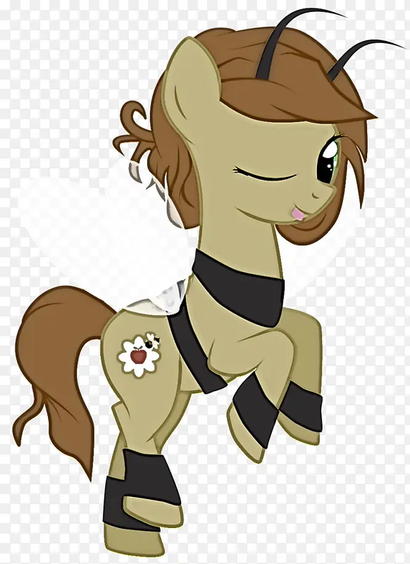 ��ͨ ���� ��-������