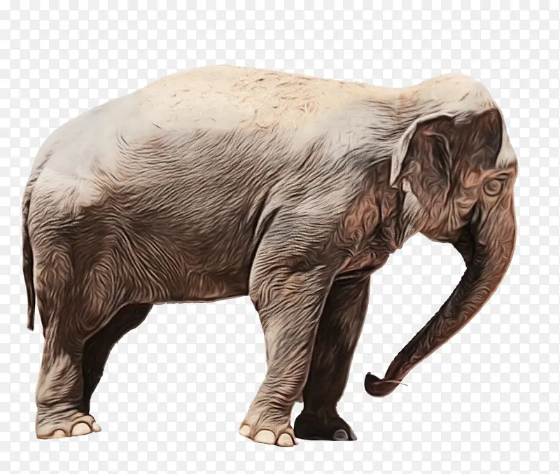 ˮ�ʻ� ���� ʪīˮ-������