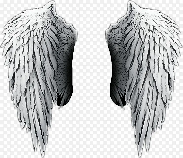 ��� ��ë ����-������