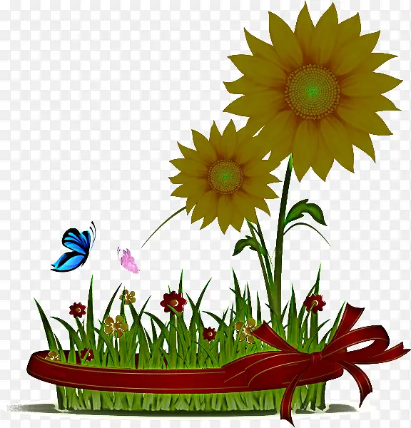 �� �� ֲ��-������