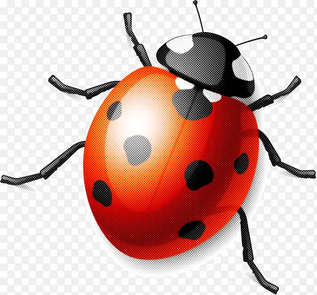 ���� ư�� �׳�-������