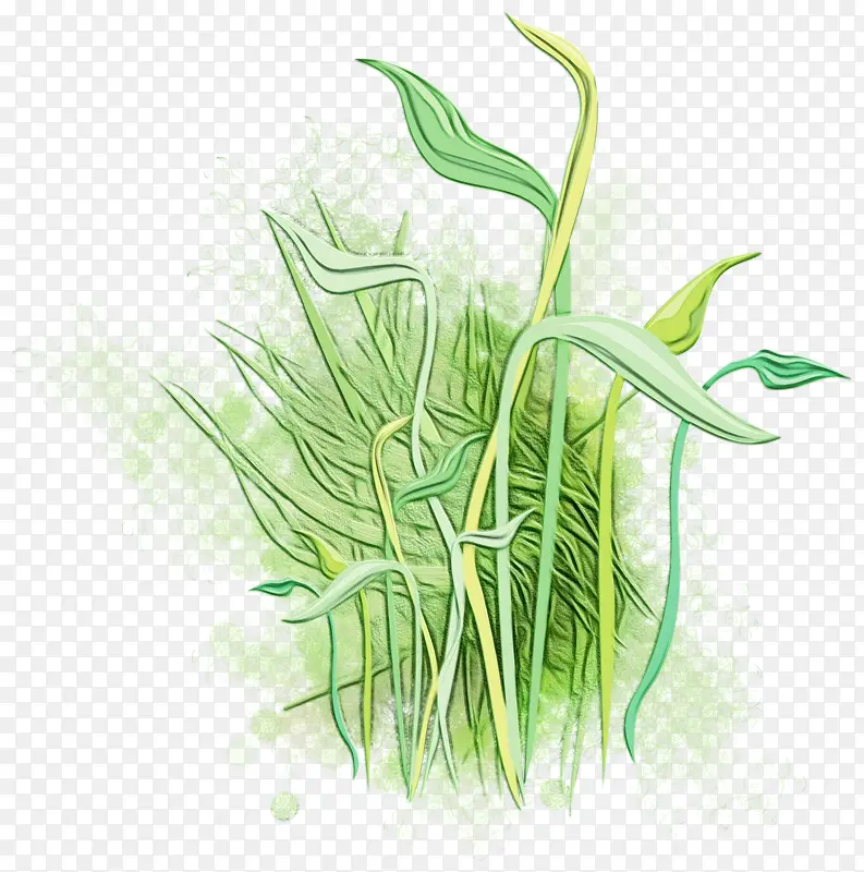 ˮ�ʻ� ���� ʪī-������