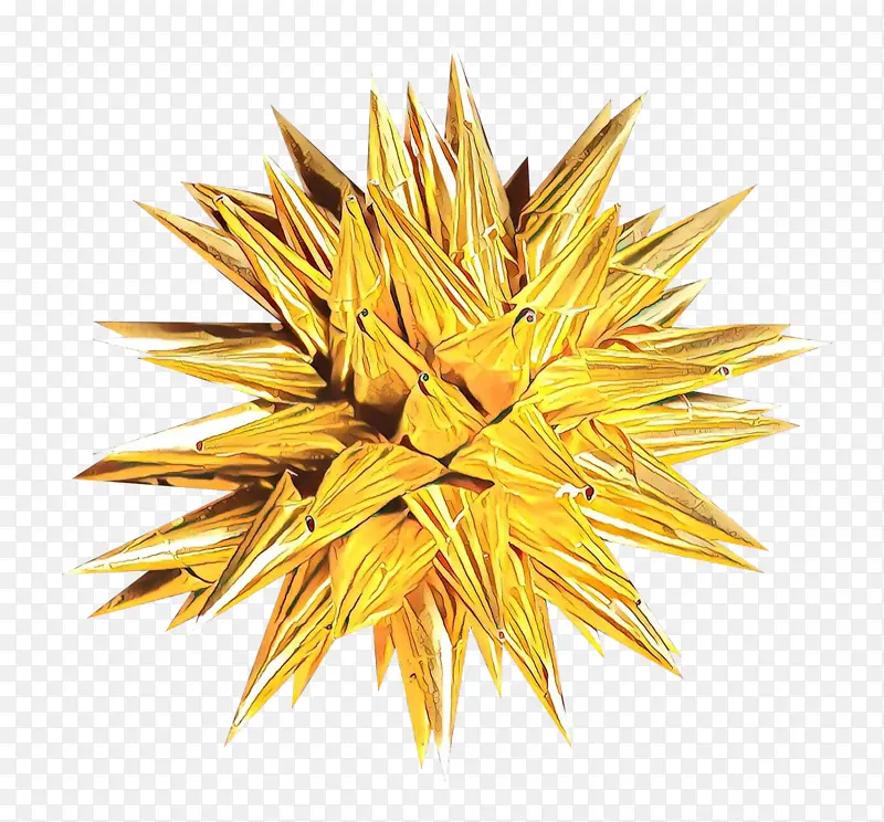 ��ɫ ֲ�� ��-������