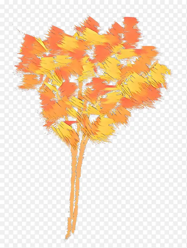 ��ɫ ��ɫ ��-������