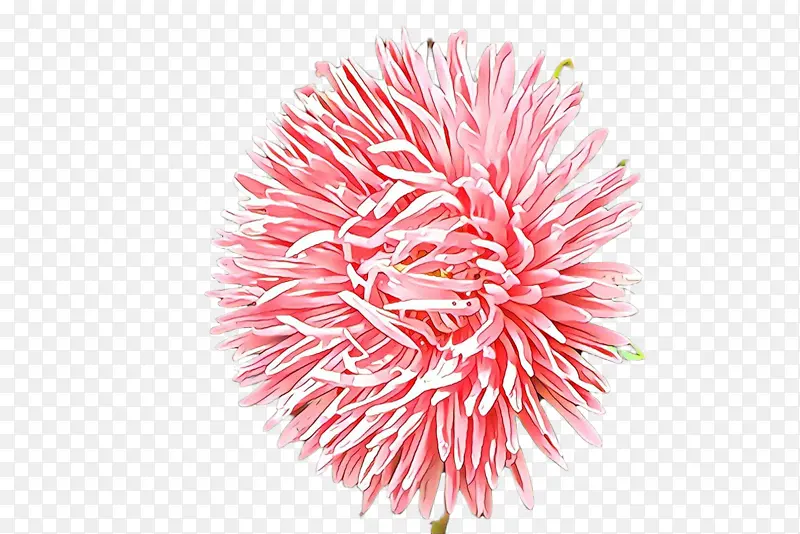 ֲ�� �� ˮ��-������