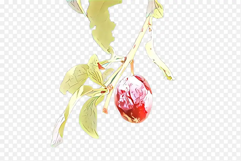 ֲ�� ʳ��-������