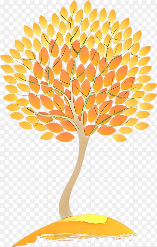 ��ɫ ��ɫ ��-������