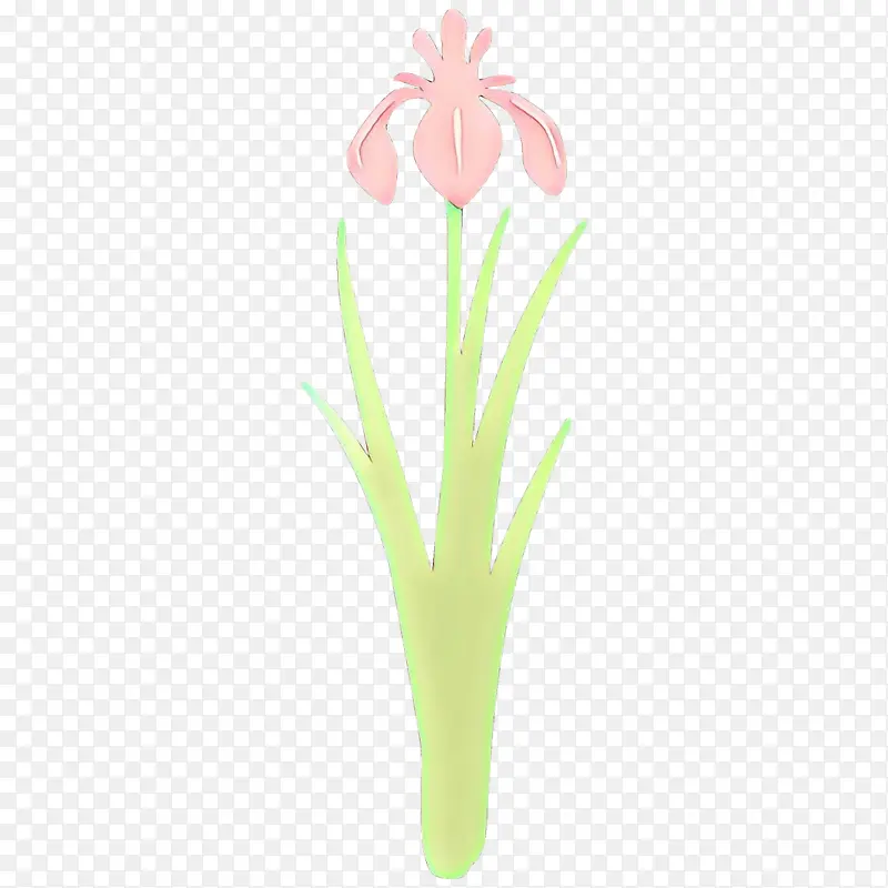 �� ֲ�� ��-������