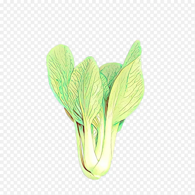 ��ɫ Ҷ�� ֲ��-������